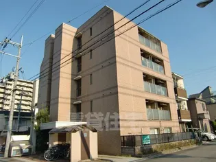 アゼリア01の画像