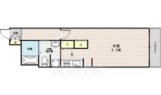 スワンズシティ新大阪【2階】の間取り