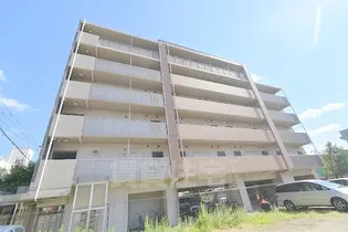 アレルヤの画像