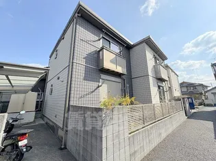 アンテノールの画像