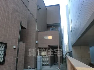 BOO HOO WOOの画像