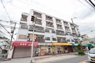 PALMIZIO平野西2【5階】の外観