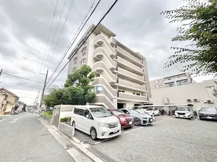 DIO花水木の画像