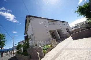 アムールコートの画像