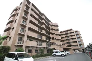 大阪府堺市堺区東湊町2丁【マンション】の外観