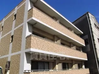 セレッソ仲田の画像