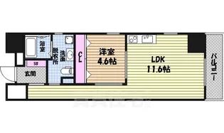 ザ・テラス丸の内【8階】の間取り