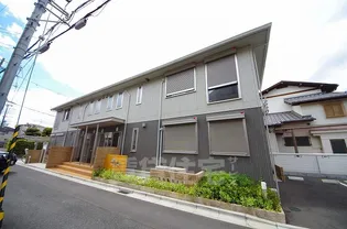 オレンジコートの画像