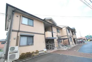 アムールの画像