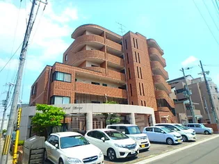 エクセル清涼の画像