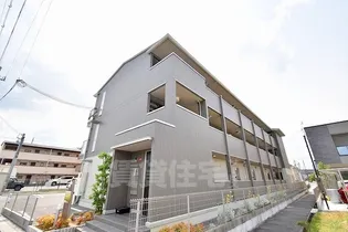 グラシアの画像