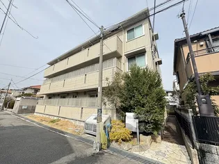 ペルルⅡの画像