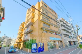 ファースト菅原の画像