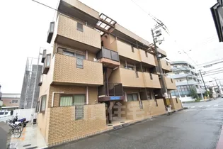 ハイムーンの画像