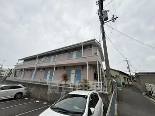 パレフローレンスの画像