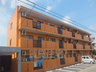 アヴニール ヒラの画像