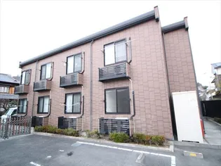 レオネクストフラッツリリーの画像