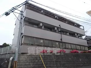 ステラマンションの画像