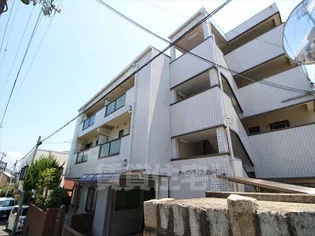 アーバンライフミレイ【307号室】の外観