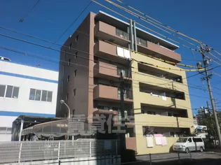 ラフィネ南十一番【2階】の外観