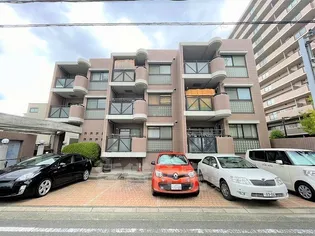 M TAKAIの画像