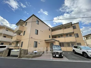 プランドール ミノルの画像