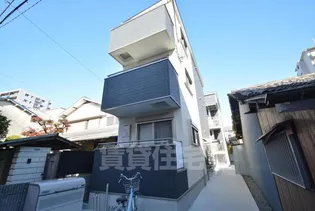 アクシアの画像