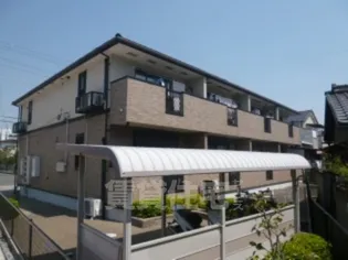 シューネスの画像