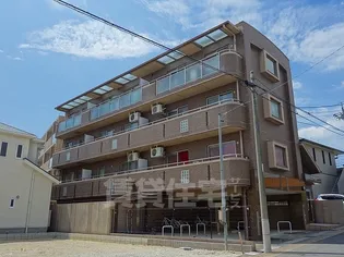 コンラッドの画像