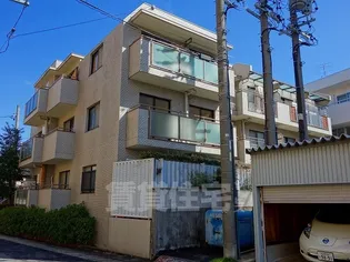 パークノヴァ藤里の画像