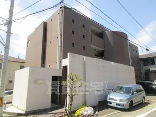 ウェルトータスの画像