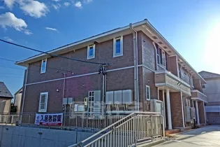 ブランドール樹の画像