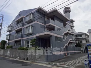 シャトーエミール【3階】の外観