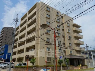 ホワイトホフマン【4階】の外観