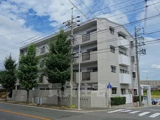 ハイムビーオールの画像