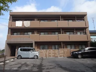 ダノイ美崇の画像