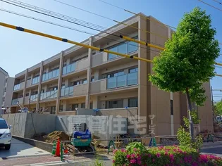 LE SENA DENALIの画像