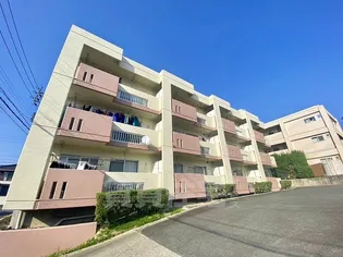 パピヨンカトー【3階】の外観