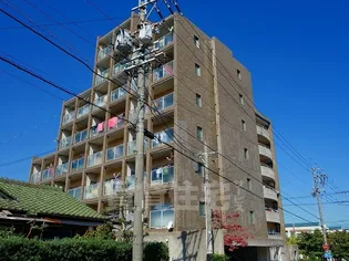 シャトル山手2【4階】の外観