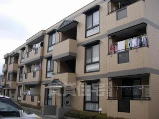 コートファミーユの画像