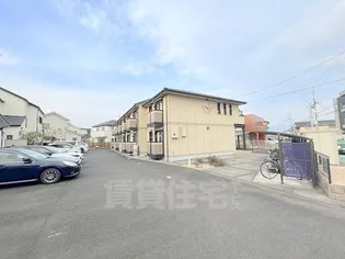 シャルマンの画像