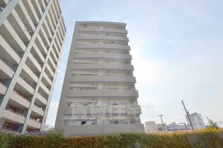 レビソールの画像