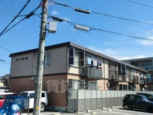 フォーブルMの画像