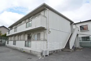 セナ伊丹の画像