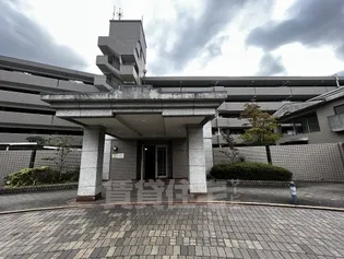 メルベール長尾の画像