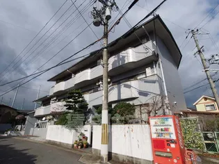 ハイツマルゴの画像