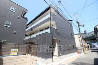 リブリ スカイブルーサンの画像