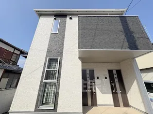 てぃーらの画像