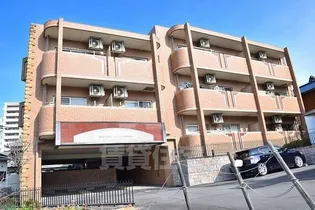 ラモーリ緑の画像