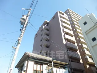 ビ アバンスの画像